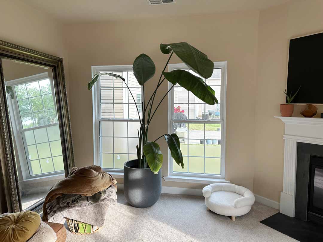 windows project image 02